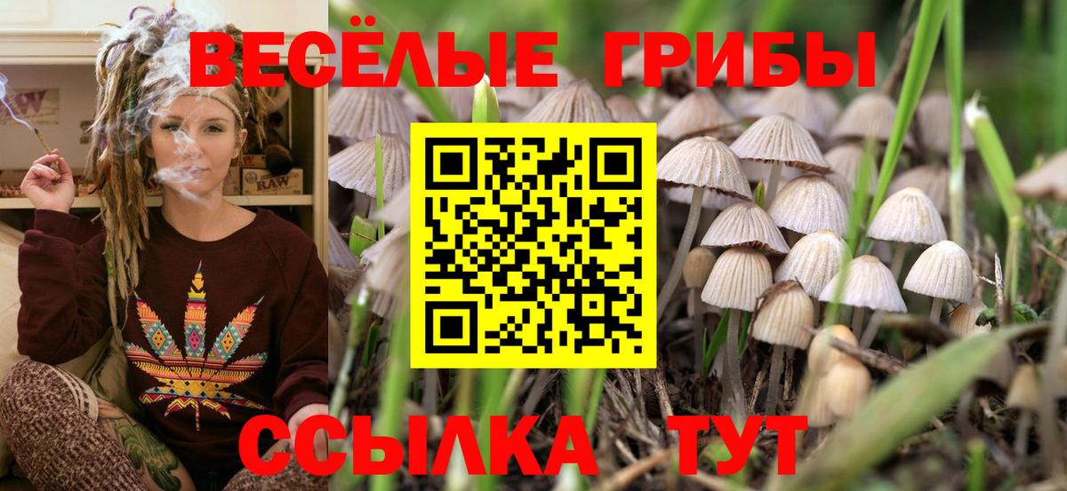 Галлюциногенные грибы мицелий  Вход с VPN  Галлюциногенные грибы GOLDEN TEACHER  Коломна 