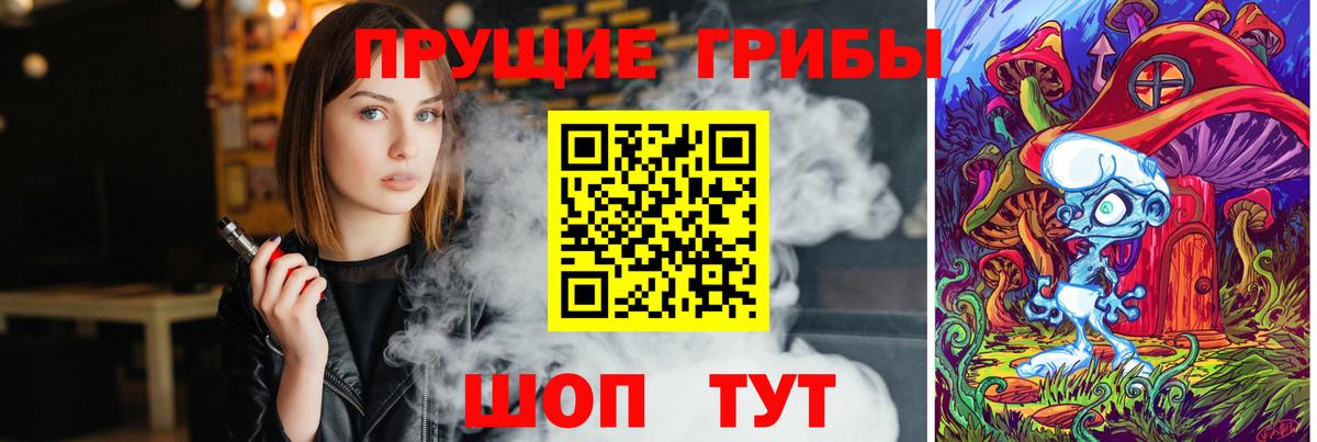 Псилоцибиновые грибы мицелий Коломна